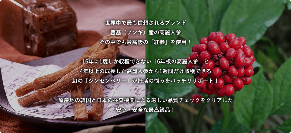 世界中で最も信頼されるブランド 豊基（プンギ）産の高麗人参 その中でも最高級の「紅参」を使用！16年に1度しか収穫できない「6年根の高麗人参」と4年以上の成長した高麗人参から1週間だけ収穫できる幻の「ジンセンベリー」が妊活の悩みをバッチリサポート！原産地の韓国と日本の検査機関による厳しい品質チェックをクリアした安心・安全な最高級品！