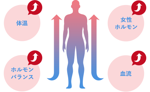 体温改善／女性ホルモン改善／血流改善／ホルモンバランス改善