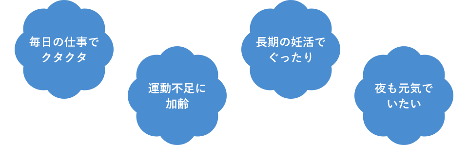 毎日の仕事でクタクタ／運動不足に加齢／長期の妊活でぐったり／夜も元気でいたい