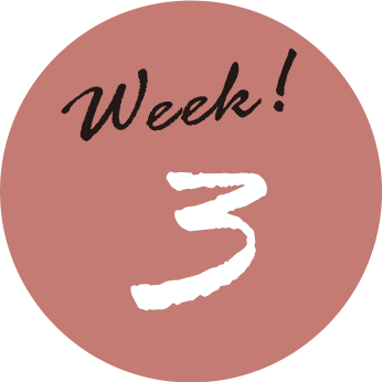 Week3