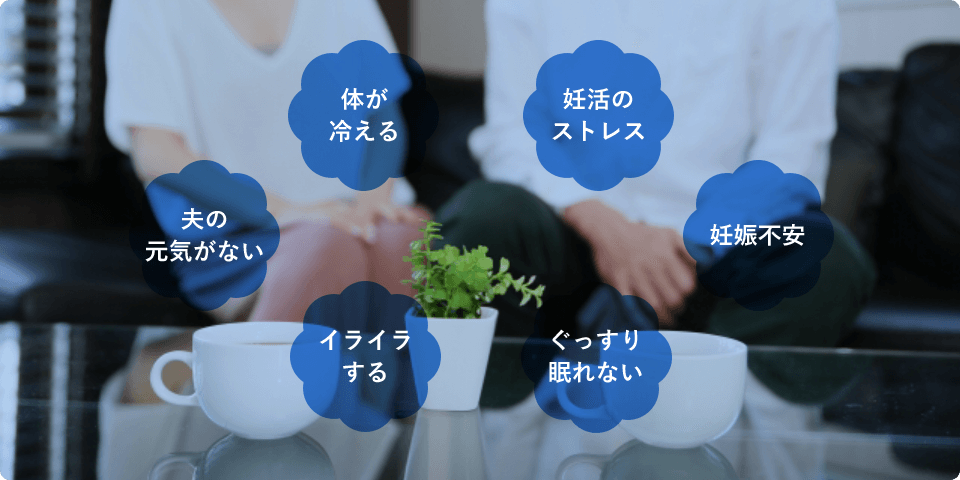体が冷える/妊活のストレス/妊娠不安/ぐっすり眠れない/イライラする/夫の元気がない