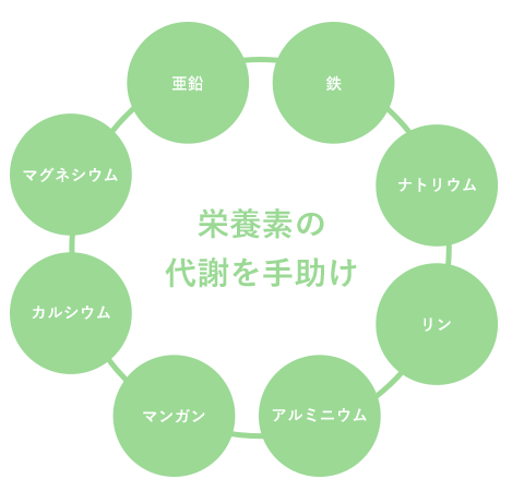 栄養素の代謝を手助け 鉄/ナトリウム/リン/アルミニウム/マンガン/カルシウム/マグネシウム/亜鉛