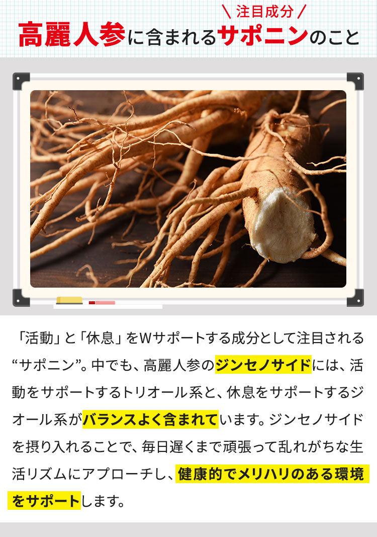 高麗人参に含まれる注目成分・サポニンのこと