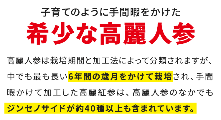 子育てのように手間暇をかけた希少な高麗人参