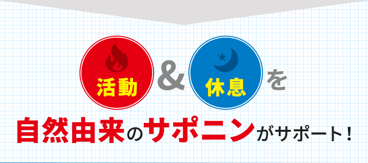 活動＆休息を自然由来のサポニンがサポート