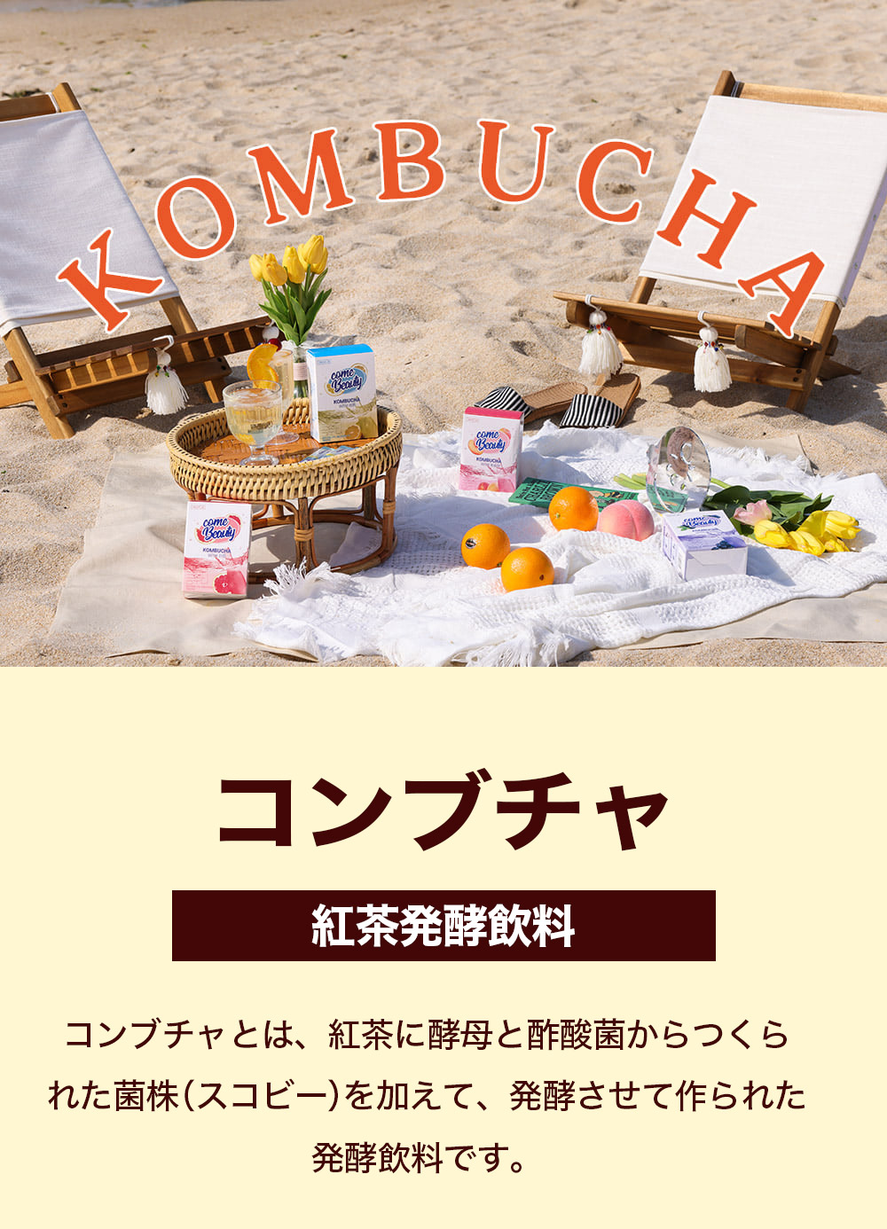 コンブチャ | 紅茶発酵飲料