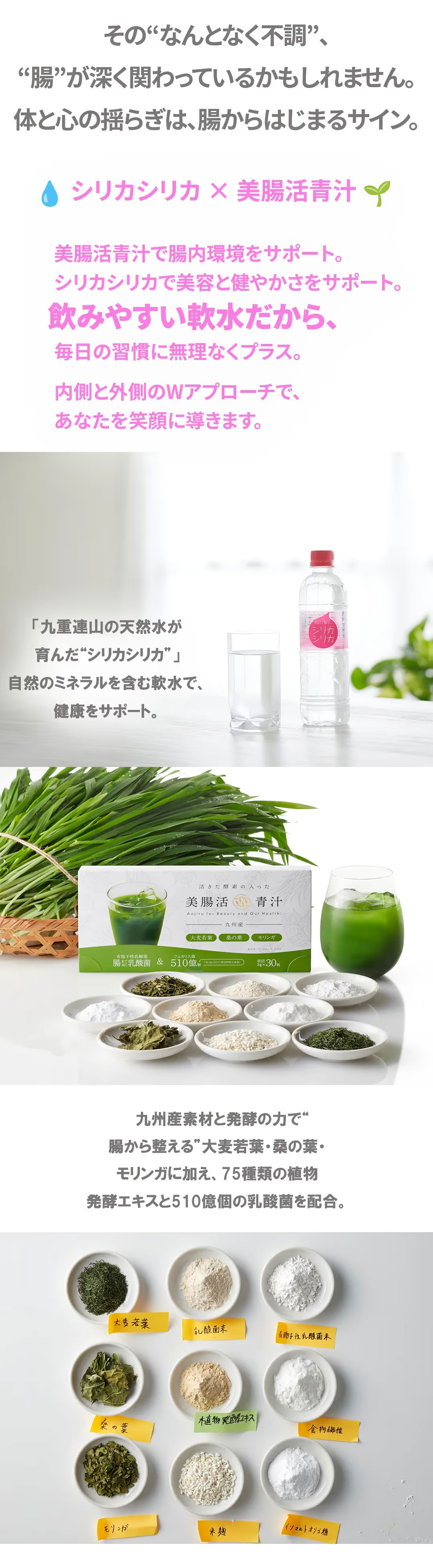 限定300名 初回特別価格のご案内