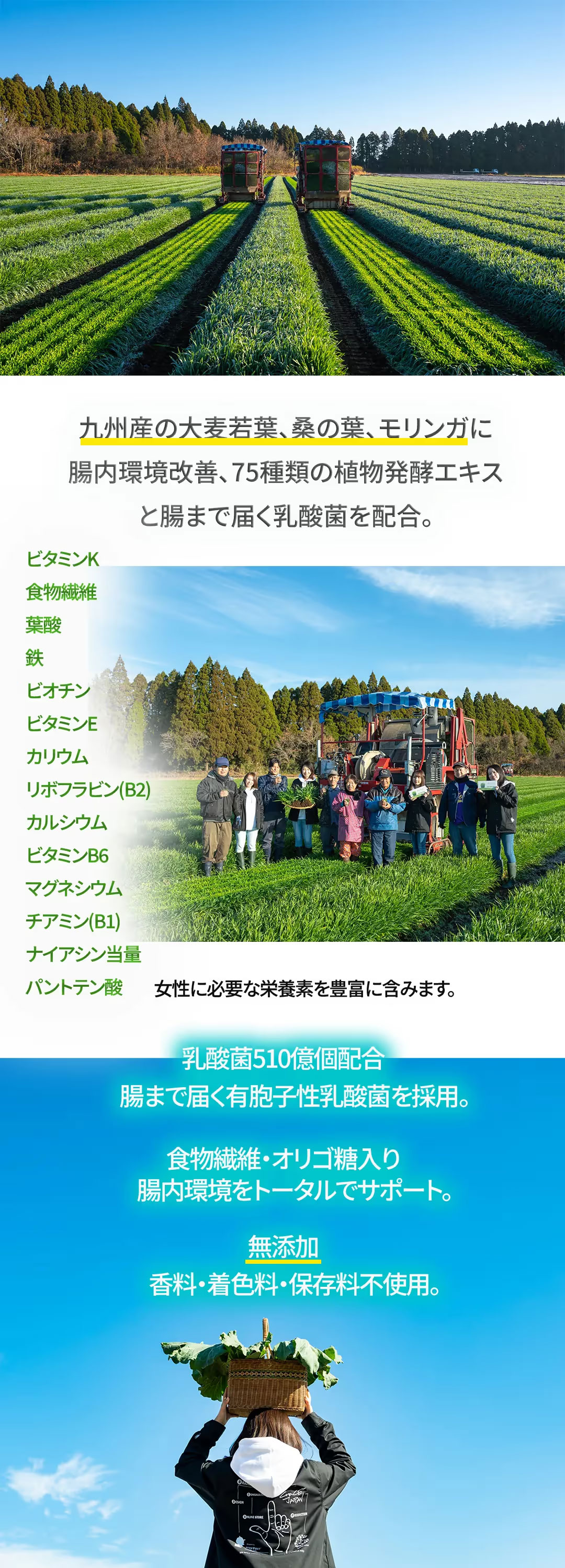 九州産素材や乳酸菌510億個・無添加