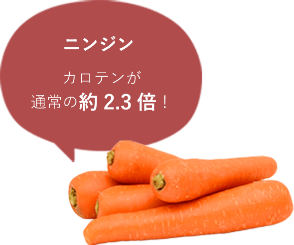 ニンジン カロテンが通常の約2.3倍