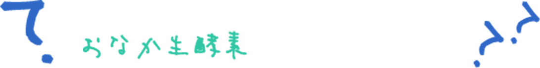 おなか生酵素は何が違うの?
